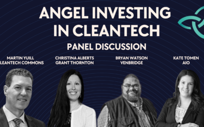 Innovating in CleanTech: Navigating Incentives for Startups