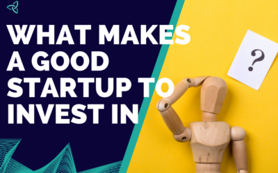 What Makes a Good Startup to Invest In